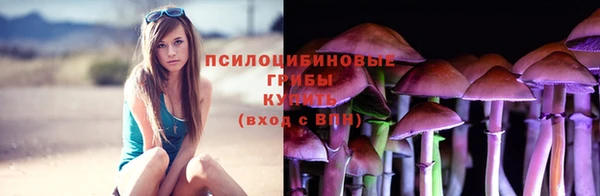 ГАЛЛЮЦИНОГЕННЫЕ ГРИБЫ Алексин