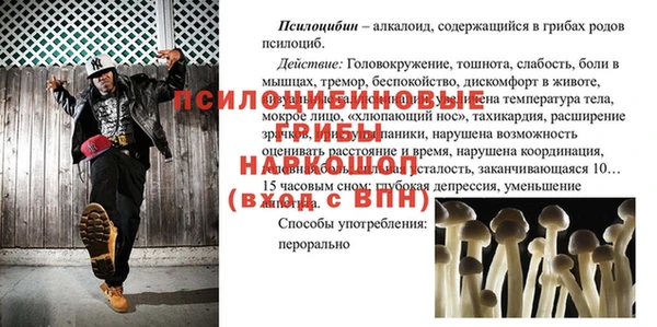 ALPHA PVP Болотное