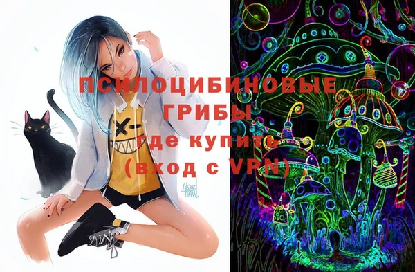 винт Болохово