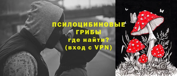 дурь Алексеевка